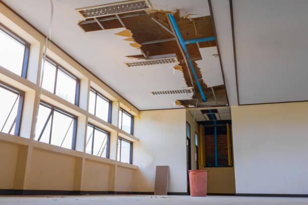 Best Carpet water damage restoration  in Eulyptus Hills, CA