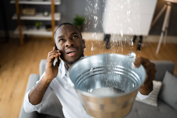 Best Sewage cleanup and water damage restoration  in Eulyptus Hills, CA