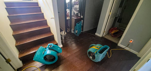 Best Water damage contractors near me  in Eulyptus Hills, CA