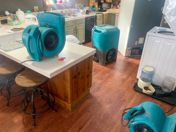 Reliable Eucalyptus Hills, CA Water damage restoration Solutions