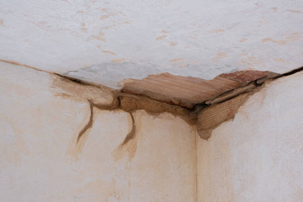 Best Flooded house restoration  in Eulyptus Hills, CA