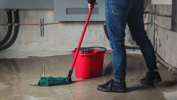 Best Basement water damage restoration  in Eulyptus Hills, CA