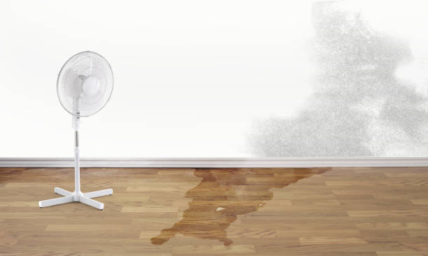Best Emergency water damage restoration  in Eulyptus Hills, CA