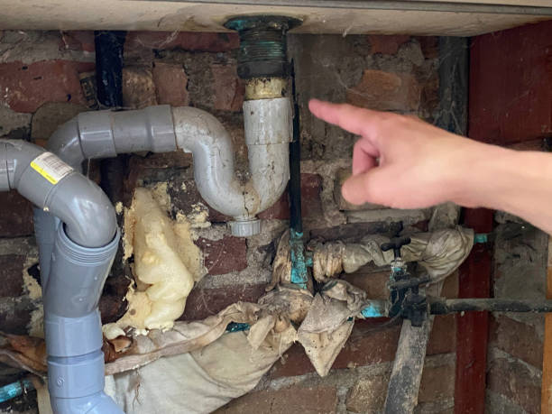Best Professional water damage repair  in Eulyptus Hills, CA