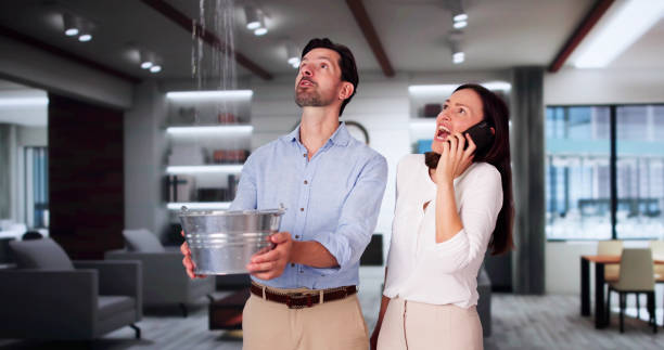 Best Water damage restoration specialists  in Eulyptus Hills, CA