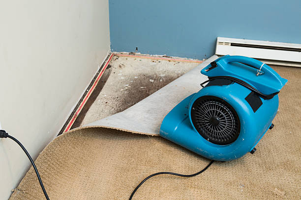 Water damage restoration mold remediation in Eucalyptus Hills, CA